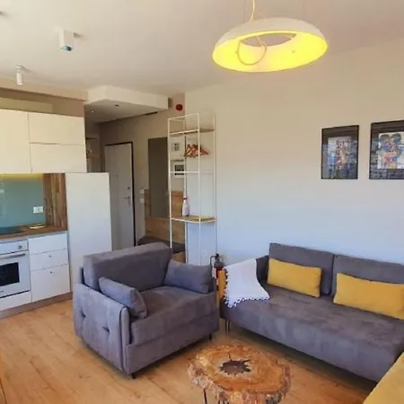 Lake Muse Penthouse Apartment *